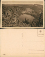 Feldberg (Schwarzwald) Feldsee Aus Der Vogelschau, Black-Forest-view 1920 - Feldberg