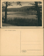 Sielbeck-Eutin Ukleisee, See Ansicht, Umliegende Landschaft 1920 - Autres & Non Classés