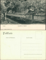 Ansichtskarte Tiergarten-Berlin Löwenbrücke 1908 - Dierentuin