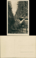 Postcard Jonsdorf (CZ) Janov Edmundsklamm - Boote Privatfoto 1925 - Tchéquie