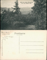 Münstertal/Schwarzwald Panorama-Ansicht Blick Ins Münstertal  Kleinen Gals 1910 - Münstertal