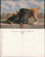 Ansichtskarte  Künstlerkarte Tiere - Hunde Primus-Postkarte 1920 - 1900-1949