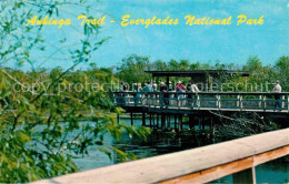 72705668 Florida_US-State Anhinga Trail Everglades - Autres & Non Classés