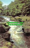 R484704 The Strid. Bolton Abbey. PT20200 - Mondo