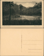 Ansichtskarte Manderscheid Partie Am Burgweiher 1920 - Manderscheid