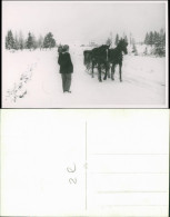 Pferdeschlitten/Pferdekutschen Im Winter - Pferde 1940 Privatfoto - Unclassified