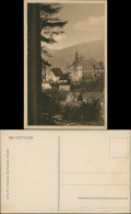 Bad Gottleuba-Bad Gottleuba-Berggießhübel Blick Auf Die Stadt 1930 - Bad Gottleuba-Berggiesshübel