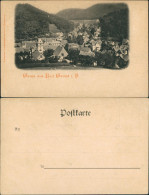 Ansichtskarte Bad Grund (Harz) Stadtpartie 1904 - Bad Grund