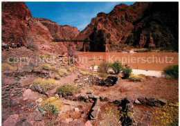 72646201 San_Francisco_California Colorado River Near Phantom Ranch - Other & Unclassified