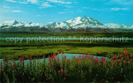 72642879 Mount_McKinley_Alaska McKinley National Park - Altri & Non Classificati