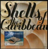 Antigua & Barbuda - 2011 - Shells Of The Caribbean - Yv Bf 670 - Coneshells