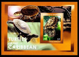 Antigua & Barbuda - 2012 - Turtles - Yv Bf 692 - Tartarughe