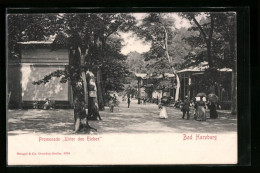 AK Bad Harzburg, Promenade Unter Den Eichen  - Bad Harzburg