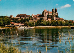 73930045 Breisach_Rhein Uferpartie Am Rhein Blick Zum St. Stephansmuenster - Breisach