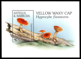 Antigua & Barbuda - 1996 - Plants: Mushrooms - Yv Bf 344 - Mushrooms