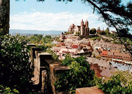 73929989 Breisach_Rhein Panorama Mit Stephansmuenster - Breisach