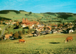 73929928 St_Peter_Schwarzwald Seminar Und Pfarrkirche - St. Peter