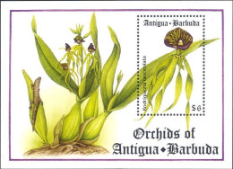 Antigua & Barbuda - 1994 - Flowers: Orchids - Yv Bf 288 - Orquideas