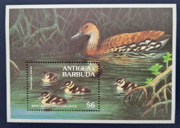 Antigua & Barbuda - 1994 - Birds: Ducks - Yv Bf 306 - Entenvögel