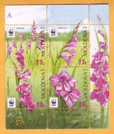 2016  Moldova Moldavie  WWF Gladiolus Imbricatus Guarded Flora. Gladiolus Mint. - Moldova