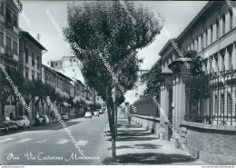 Bn93 Cartolina Pisa Citta' Via Curtatone Montanara - Pisa