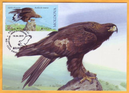 2019 Moldova Moldavie  Maxicard Europa-cept  Fauna, Birds, Eagle. - 2019