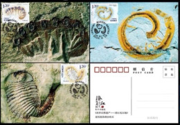 China Maximum Card 2024-4 World Natural Heritage Site - Chengjiang Fossil Site - Maximumkarten