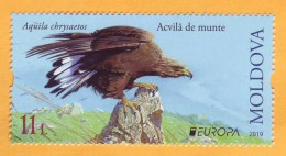 2019 Moldova Moldavie Europa-cept  Fauna, Birds, Eagle 1v Mint - Moldavië