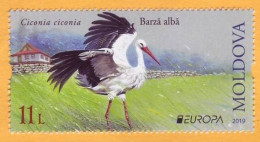 2019 Moldova Moldavie Europa-cept  Fauna, Birds, Storks 1v Mint - Cigognes & échassiers