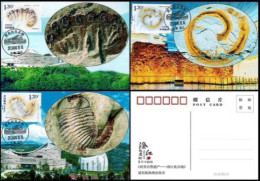 China Maximum Card 2024-4 World Natural Heritage Site - Chengjiang Fossil Site - Maximumkarten