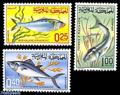 Morocco 1967 Fish 3v, Mint NH, Nature - Fish - Fishes