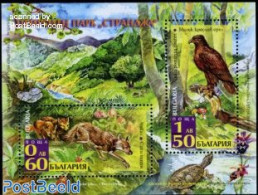 Bulgaria 2008 Strandjha Nature Park S/s, Mint NH, Nature - Animals (others & Mixed) - Birds - Birds Of Prey - Turtles - Unused Stamps