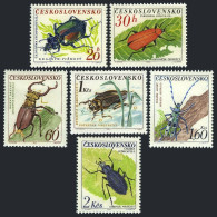 Czechoslovakia 1144-1149, MNH. Michel 1371-1376. Beetles 1962. - Neufs