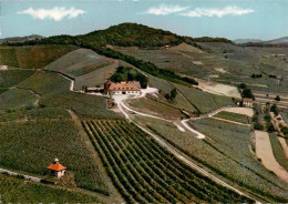 73929122 Ihringen_Kaiserstuhl Blankenhornsberg Versuchs Und Lehrgut Fuer Weinbau - Ihringen