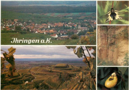 73929108 Ihringen_Kaiserstuhl Panorama Schmetterlingshaft Loesshohlgasse Frauens - Ihringen