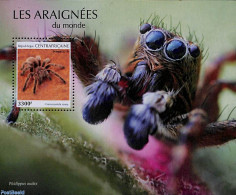 Central Africa 2019 Spiders S/s, Mint NH, Nature - Animals (others & Mixed) - Central African Republic