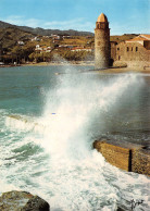 66-COLLIOURE-N°4255-D/0229 - Collioure