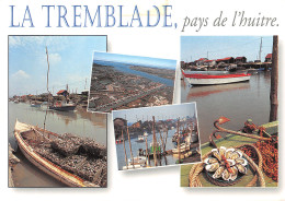 17-LA TREMBLADE-N°4256-B/0049 - La Tremblade