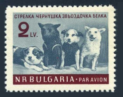 Bulgaria C82, MNH. Michel 1249. Air Post 1961. Soviet Space Dogs. - Montpelier