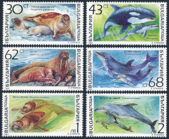 Bulgaria 3665-3670,MNH.Michel 3959-3964. Save The Ocean,1991. Marine Mammals. - Ongebruikt