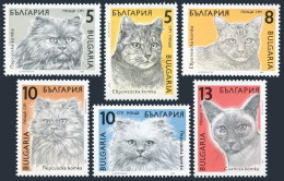 Bulgaria 3510-3515, MNH. Michel 3808-3813. Cats 1989. - Nuevos