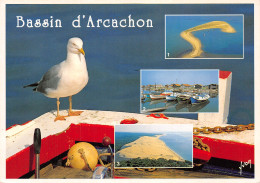 33-BASSIN D ARCACHON-N°4258-C/0177 - Otros & Sin Clasificación