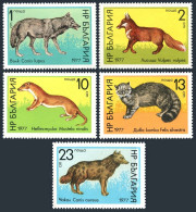 Bulgaria 2404-2408, MNH. Mi 2597-2601. Wild Animals 1977. Wolf, Red Fox, Weasel, - Neufs