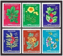 Bulgaria 2369-2374, MNH. Mi 2540-2545. Flowers 1976. Chestnut, Finquefoil, Holly - Unused Stamps