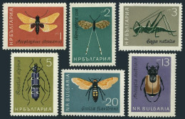 Bulgaria 1332-1337, MNH. Mi 1446-1451. Insects 1964. Butterflies, Grasshopper, - Nuovi