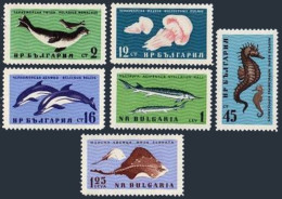 Bulgaria 1164-1169, MNH. Mi 1243-1248. Black Sea Fauna. Monk Seal, Dolphin, Ray, - Ongebruikt