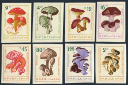 Bulgaria 1183-1190 Imperf, MNH. Michel 1271-1278. Mushrooms 1961. - Nuevos