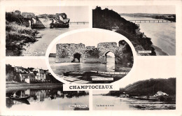 49-CHAMPTOCEAUX-N°T5064-A/0191 - Champtoceaux