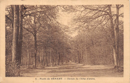 77-SENAT FORET-N°T5064-D/0025 - Sénart