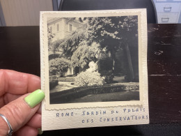 Photo Snapshot 1930 40 ITALIE Italie Rome Jardin Du Palais Des Conservateurs - Places